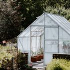 green trees and plants inside greenhouse