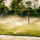a group of sprinklers are spraying water in a park