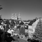 grayscale photo of houses and trees