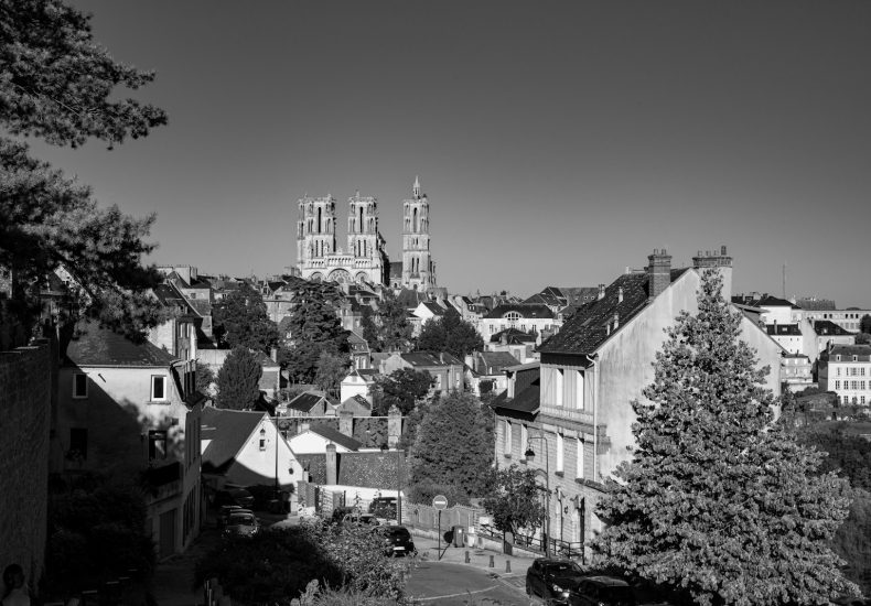 grayscale photo of houses and trees
