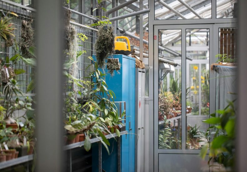 a blue refrigerator covered in plants in a greenhouse